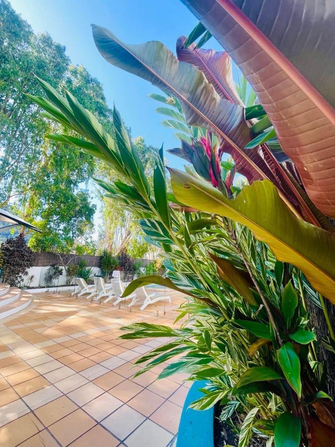 Beachview Apartments At Villa Paradiso Palm Cove Extérieur photo